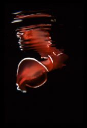 Dancer & Refelections by Rafel Al Ma'ary 